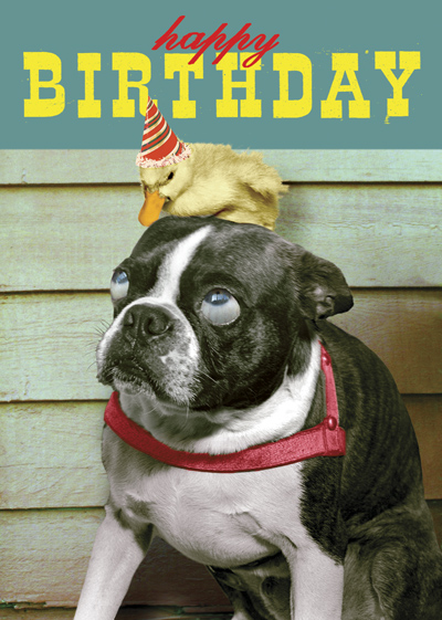 Happy Birthday Dog and Duck Greeting Card by Max Hernn